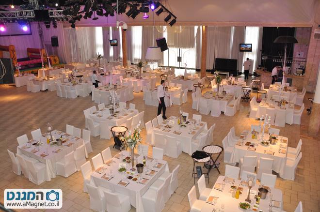 תמונה גדולה